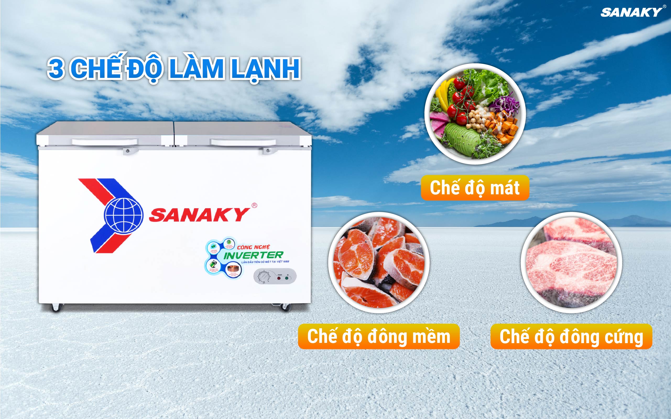 Tủ Đông Sanaky Inverter 270 lít VH-3699A4K